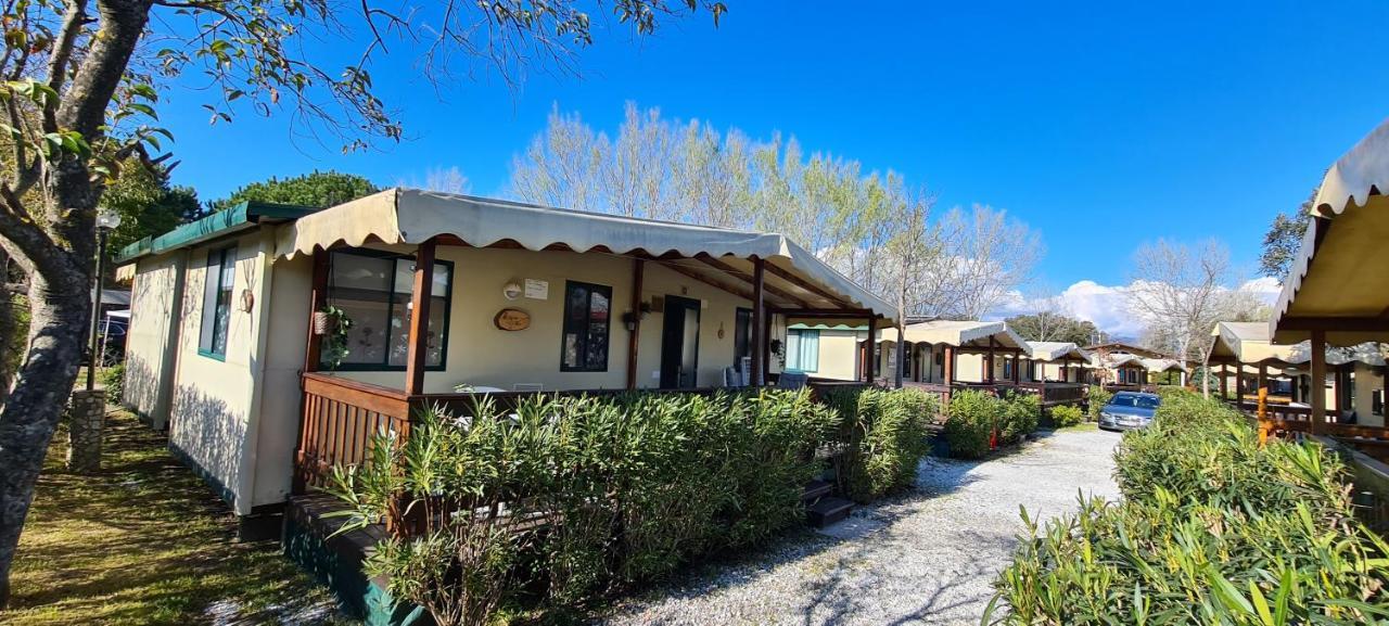 Chalet La Dolce Vita 维亚雷焦 外观 照片